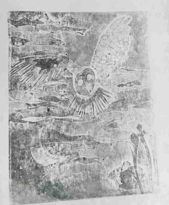 Collagraph Insect Collagraph – FlagFly